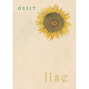 Ilse