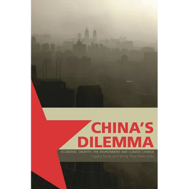 China's Dilemma: Economic Growth, the Environment and Climate Change