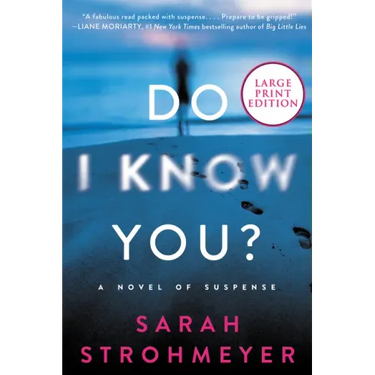 Do I Know You?: A Novel of Suspense