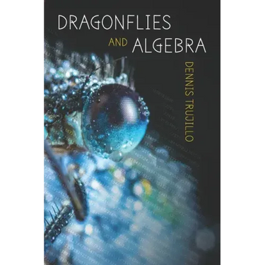 Dragonflies and Algebra