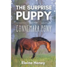 The Surprise Puppy and the Connemara Pony - The Coral Cove Horses Series