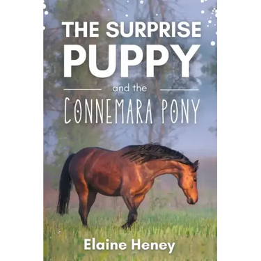 The Surprise Puppy and the Connemara Pony - The Coral Cove Horses Series
