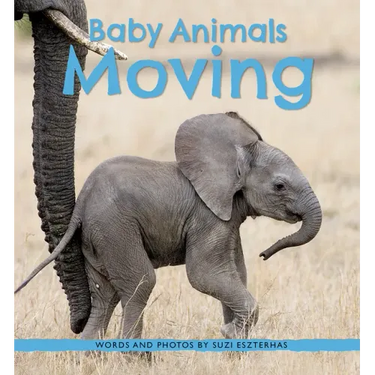 Baby Animals Moving