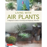 Living with Air Plants: A Beginner's Guide to Growing and Displaying Tillandsia