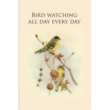 Bird watching all day every day: Gifts For Birdwatchers - a great logbook, diary or notebook for tracking bird species. 120 pages