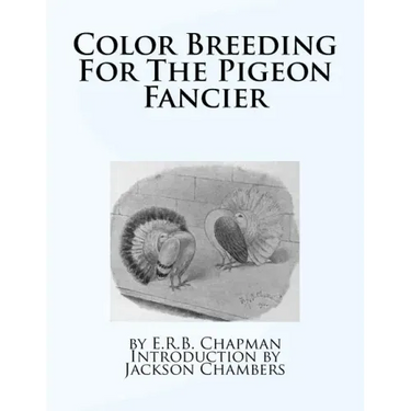 Color Breeding For The Pigeon Fancier