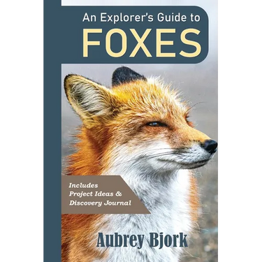 An Explorer's Guide to Foxes