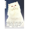 How do I care for a Persian cat's fur?: Find out more about your pet