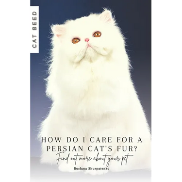 How do I care for a Persian cat's fur?: Find out more about your pet