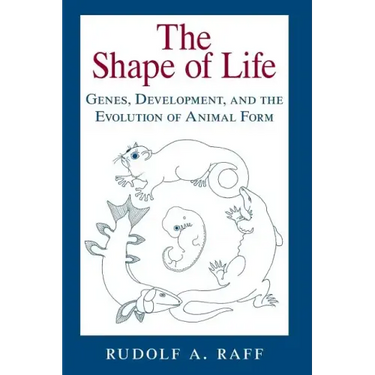 The Shape of Life: Genes, Development, and the Evolution of Animal Form