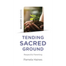 Quaker Quicks - Tending Sacred Ground: Respectful Parenting