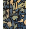 C.C. Wang: Lines of Abstraction