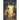 Testaments of the Patriarchs Collection