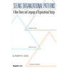 Seeing Organizational Patterns