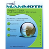 Math Mammoth Grade 1 Tests and Cumulative Reviews