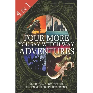 Four More You Say Which Way Adventures: Dinosaur Canyon, Deadline Delivery, Dragons Realm, Creepy House