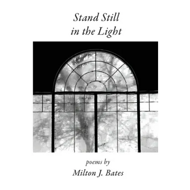 Stand Still in the Light