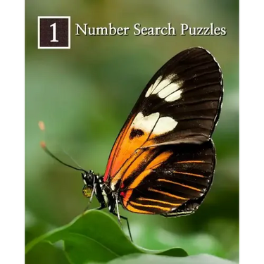 Number Search Puzzles 1: 100 Elegant Puzzles in Large Print