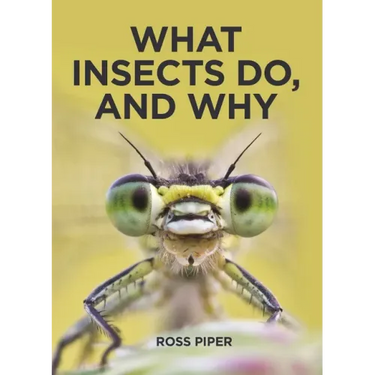 What Insects Do, and Why