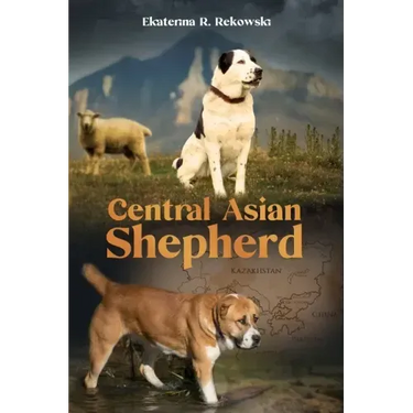 Central Asian Shepherd