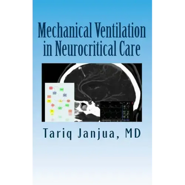 Mechanical Ventilation in Neurocritical Care