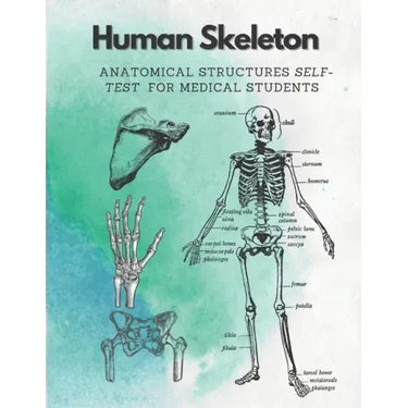 Human Skeleton, Anatomical structures self-test for medical students: kull, Ribs, Arm & Leg Bones, Pelvis, Spine