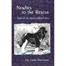 Newfies to the Rescue: Tales of the Newfoundland Dog