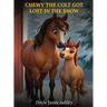 Chewy the Colt Got Lost in the Snow!