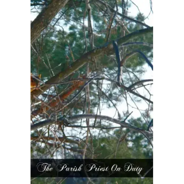 The Parish Priest On Duty: A Practical Manual For Pastors, Curates, And Theological Students Preparing For The Mission