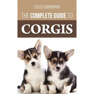 The Complete Guide to Corgis: Everything to Know About Both the Pembroke Welsh and Cardigan Welsh Corgi Dog Breeds