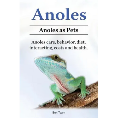 Anoles. Anoles as Pets. Anoles care, behavior, diet, interacting, costs and health.