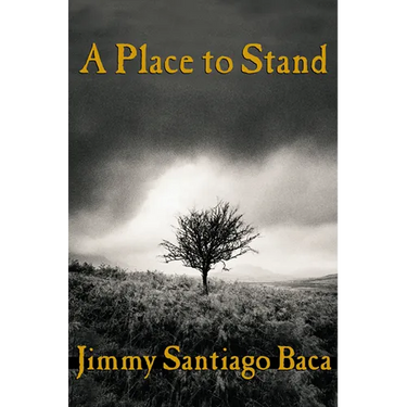 A Place to Stand