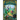 The Wishing Spell