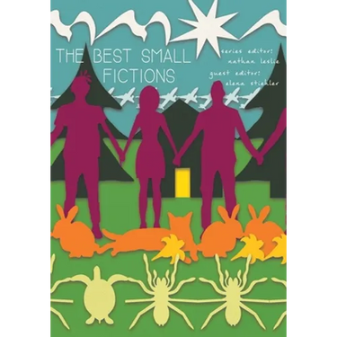 The Best Small Fictions 2020 Anthology