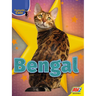 Bengal