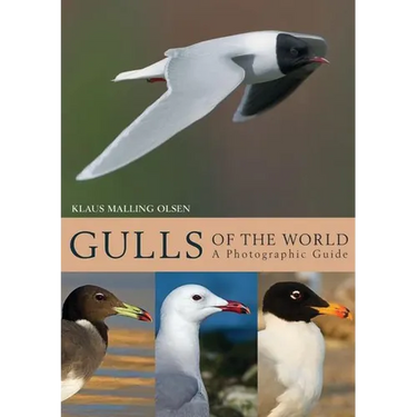 Gulls of the World: A Photographic Guide