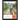 All for love: Endless Trekking in Search of Begonia