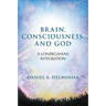 Brain, Consciousness, and God: A Lonerganian Integration