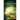 Tales from the Unbound Path