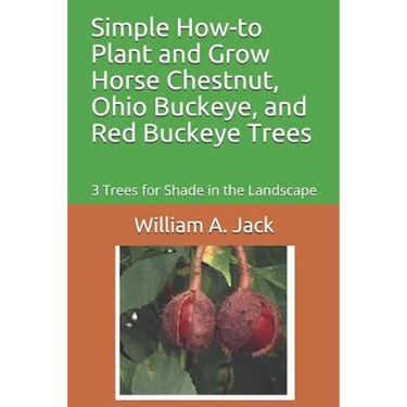 Simple How-To Plant and Grow Horse Chestnut, Ohio Buckeye, and Red Buckeye Trees: 3 Trees for Shade in the Landscape