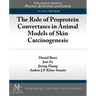 The Role of Proprotein Convertases in Animal Models of Skin Carcinogenesis