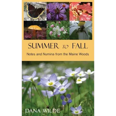 Summer to Fall