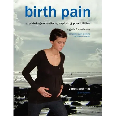 Birth Pain: Explaining Sensations, Exploring Possibilities (2nd Ed)