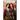 A Second Chance at Life and Love: A Lesbian Romance