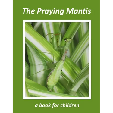 The Praying Mantis - a book for children: The tiny hunter