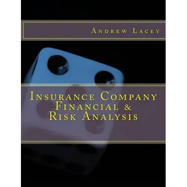 Insurance Company Financial & Risk Analysis