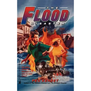 The Flood Disaster