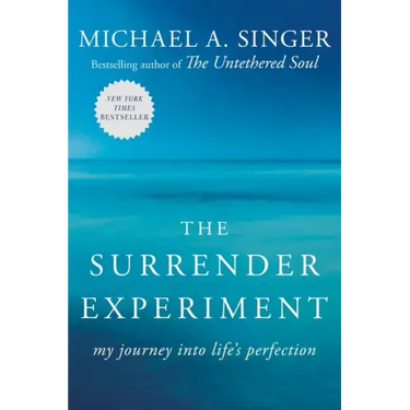 The Surrender Experiment: My Journey Into Life's Perfection