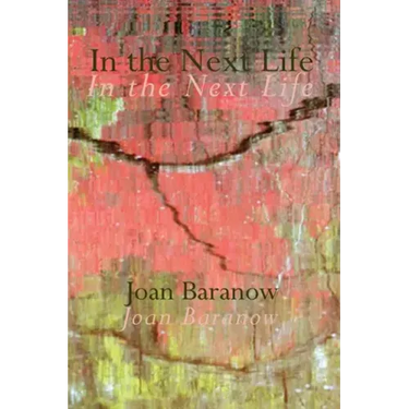 In the Next Life
