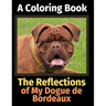 The Reflections of My Dogue de Bordeaux: A Coloring Book